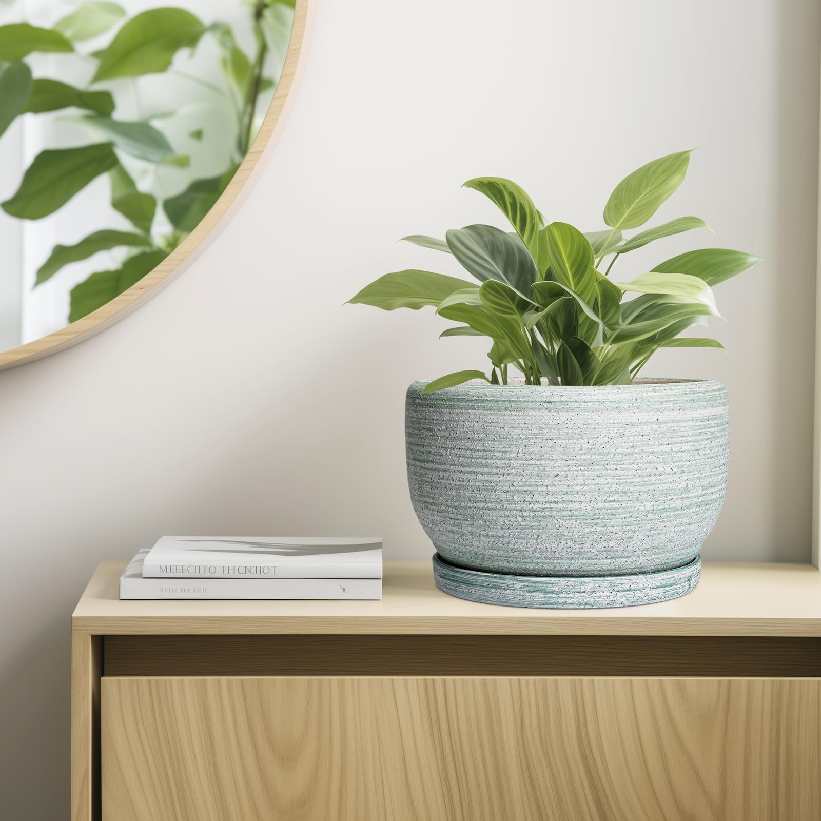 SQOWL maceta en estantería decorativa mejorando el ambiente