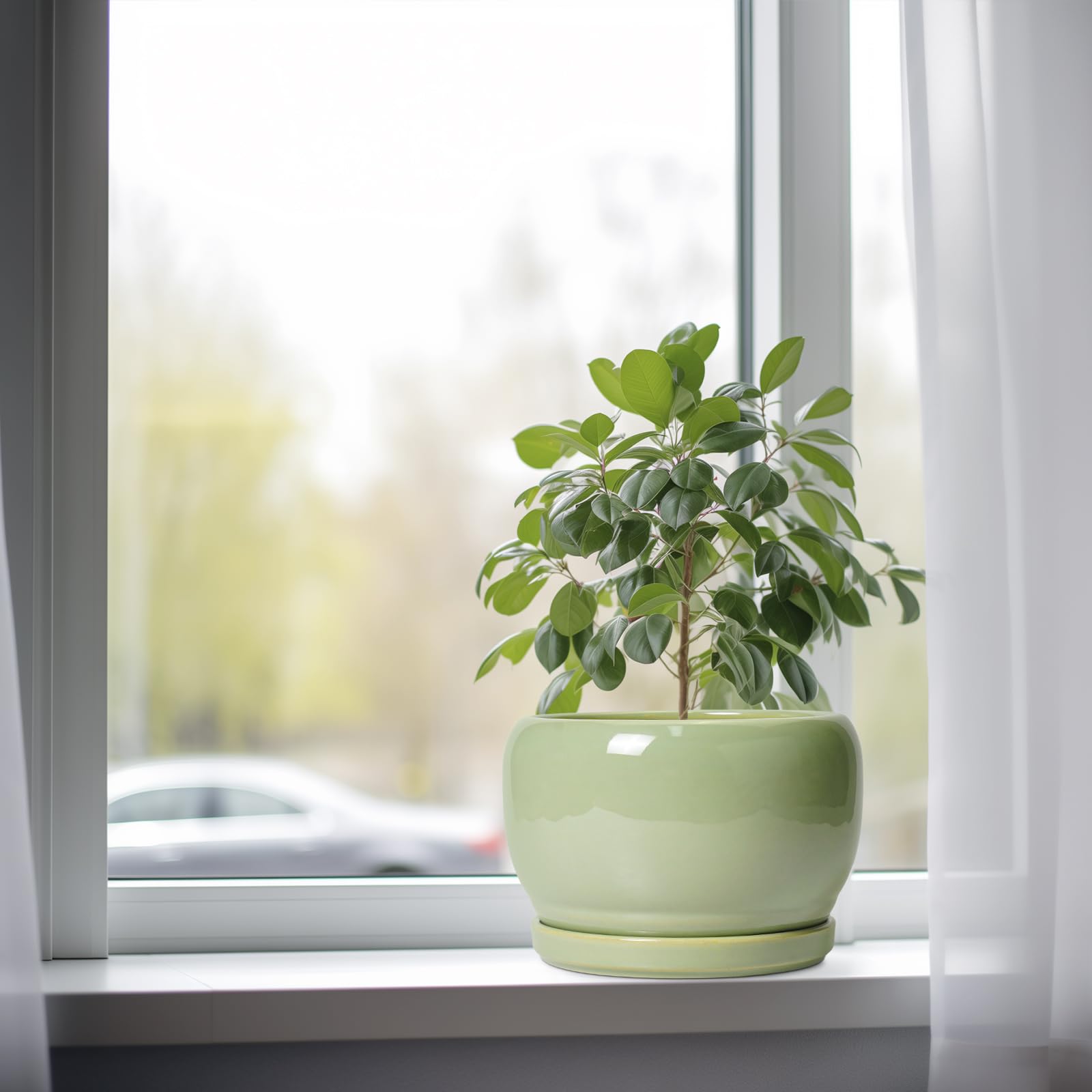 SQOWL maceta con planta en escritorio aportando decoración práctica