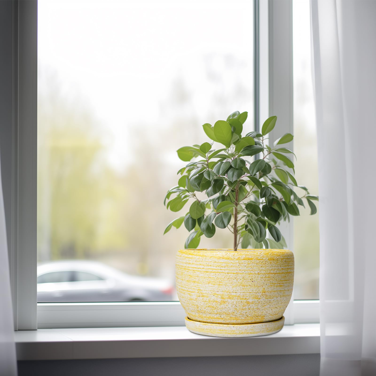 SQOWL maceta en escritorio con planta, aporta decoración y funcionalidad
