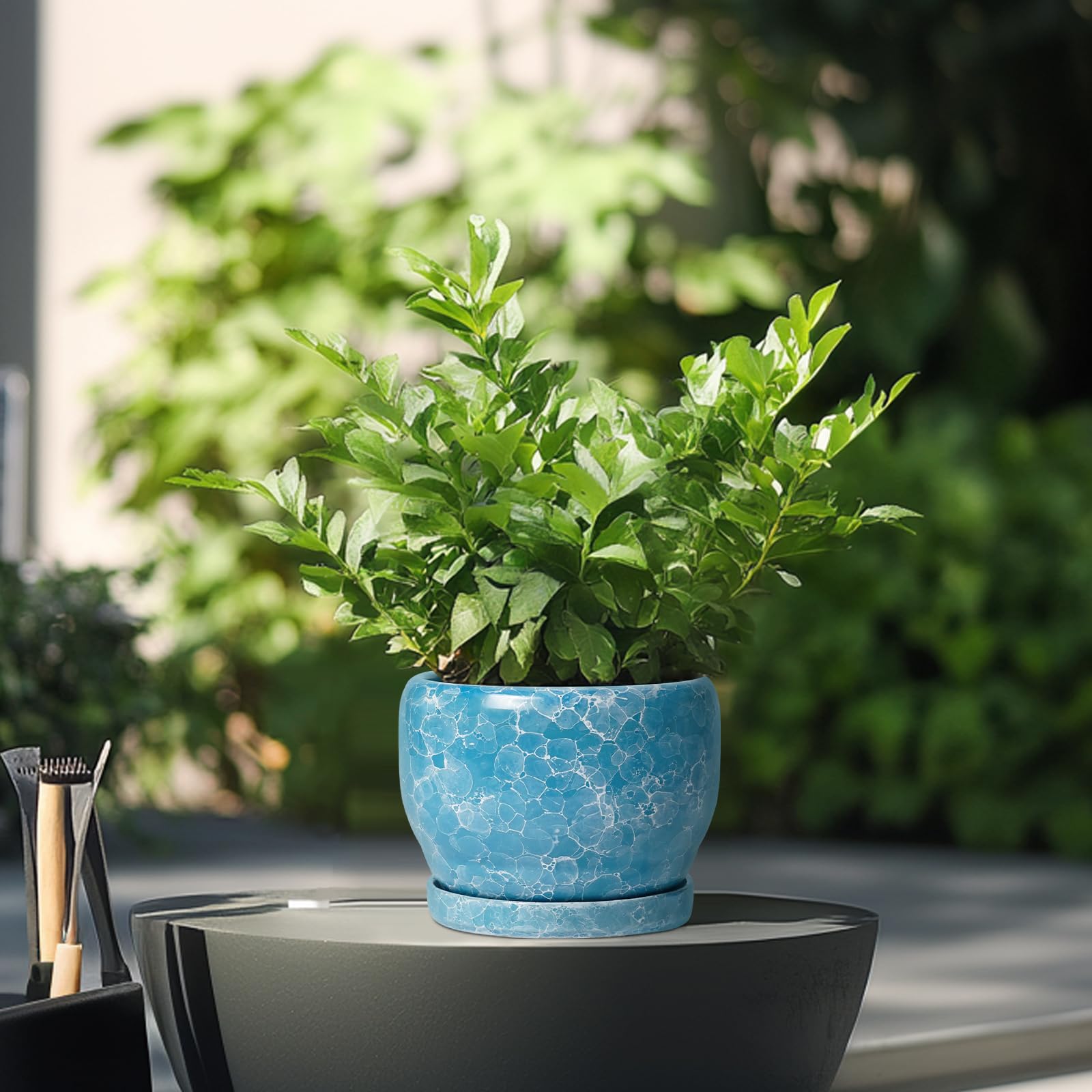 SQOWL maceta en uso en escritorio aportando estilo y soporte para plantas de interior