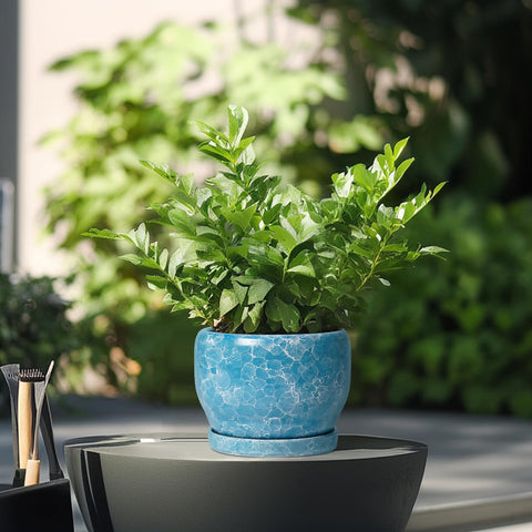 SQOWL maceta en uso en escritorio aportando estilo y soporte para plantas de interior