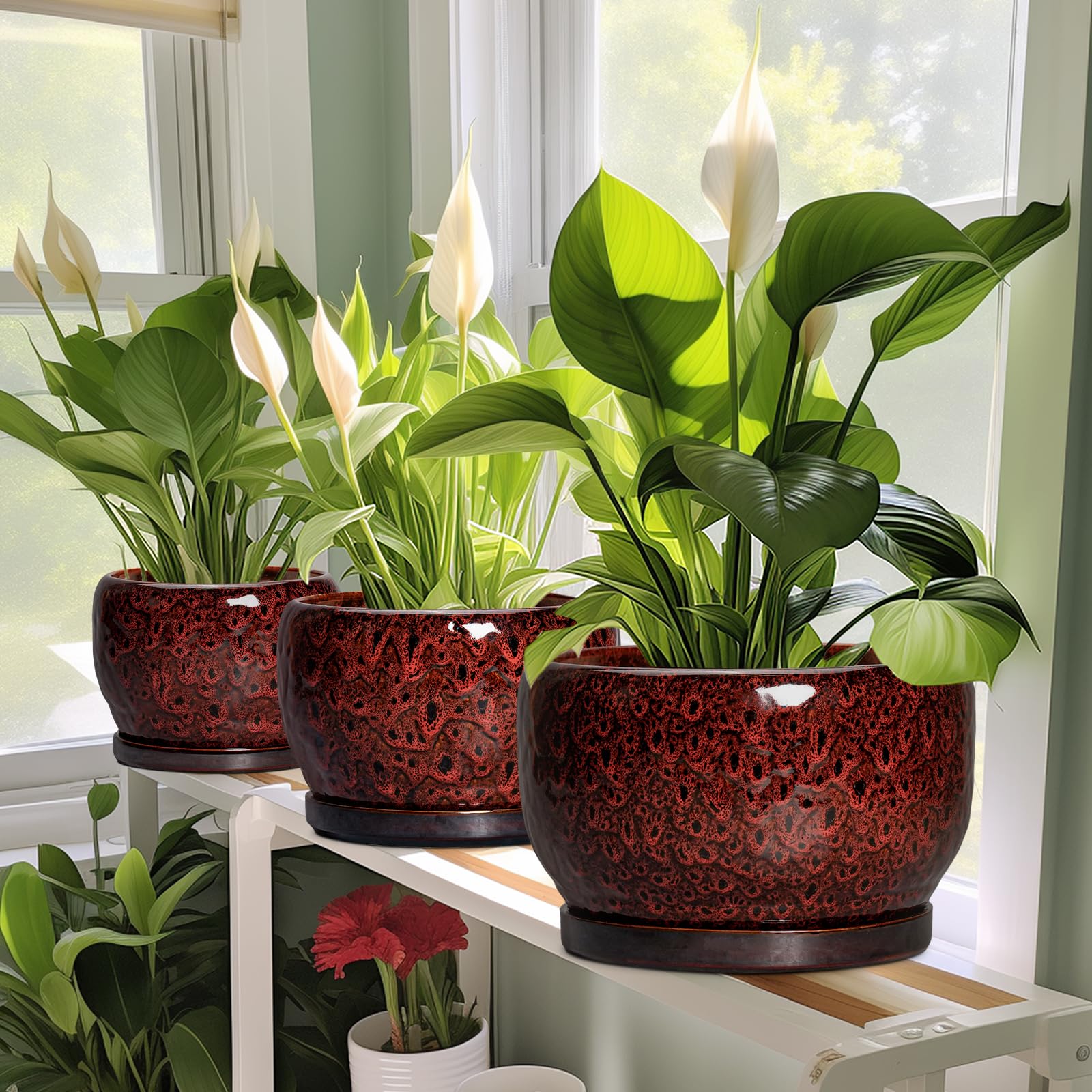 SQOWL maceta con planta sobre mesa decorativa en salón, aspecto acogedor