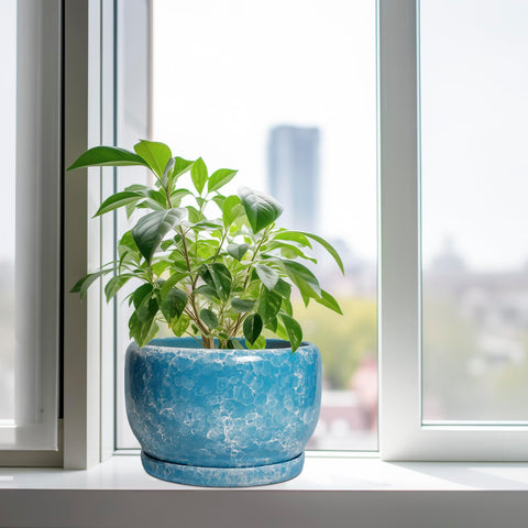 SQOWL maceta en salón con monstera mostrando estilo y estabilidad interior