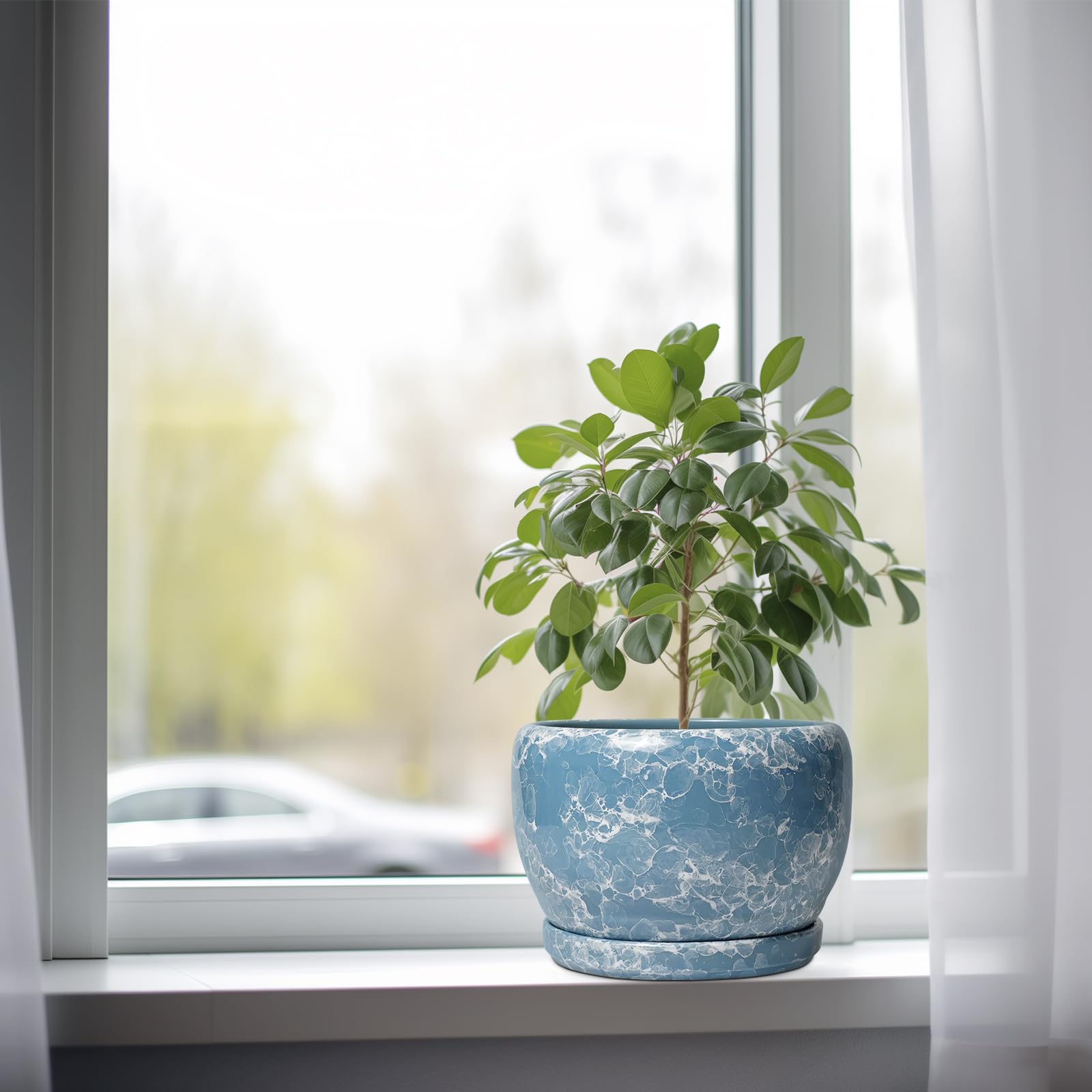 SQOWL maceta en salón con planta, mejora la decoración interior