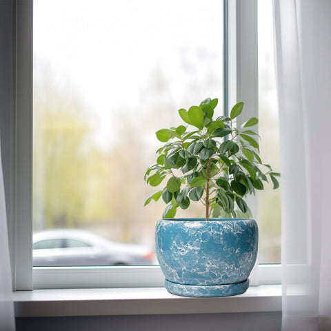 SQOWL maceta en salón con planta, mejora la decoración interior