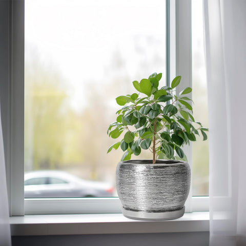 SQOWL maceta en uso en salón aportando estilo y función decorativa