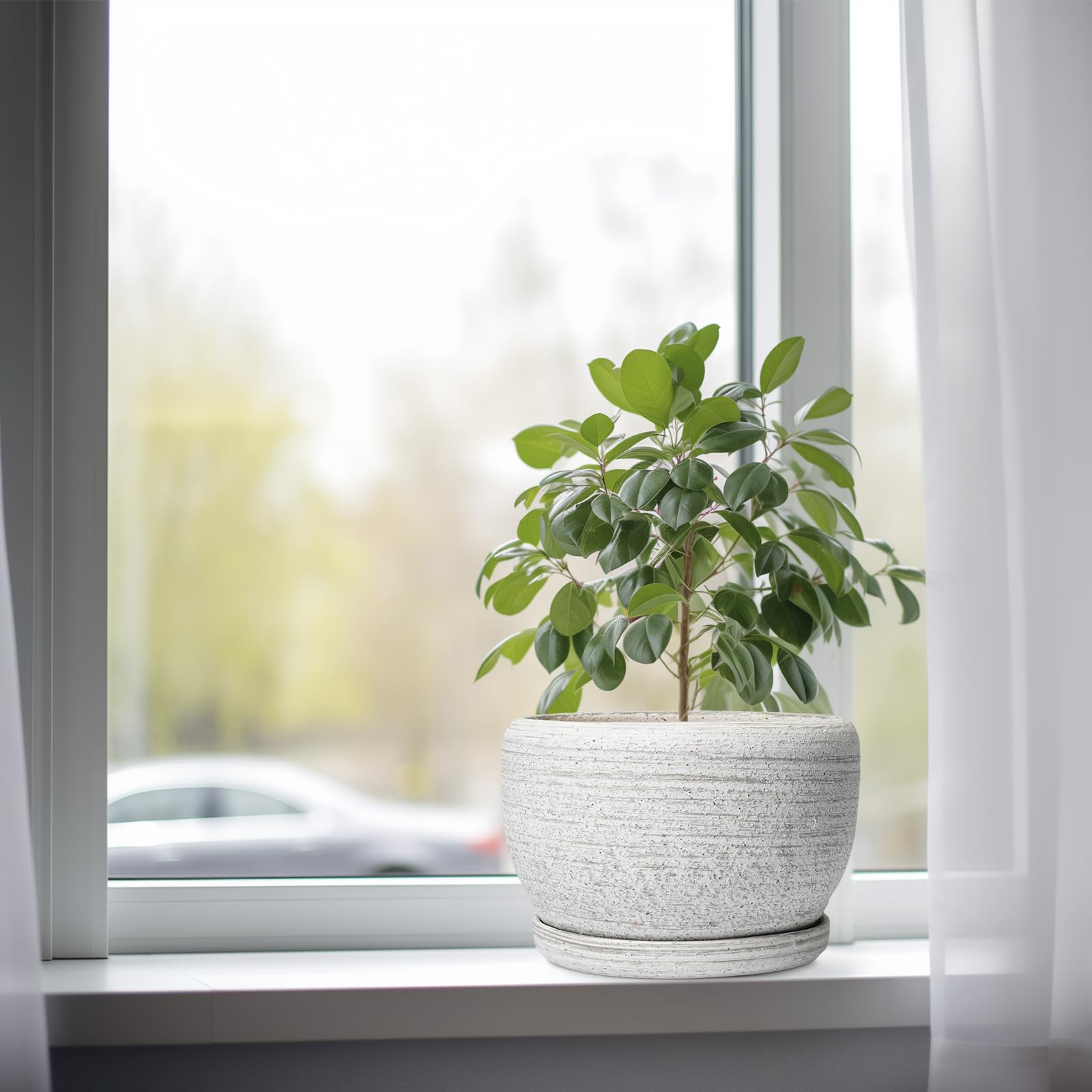 SQOWL maceta en uso sobre mesa realza plantas y decoración interior