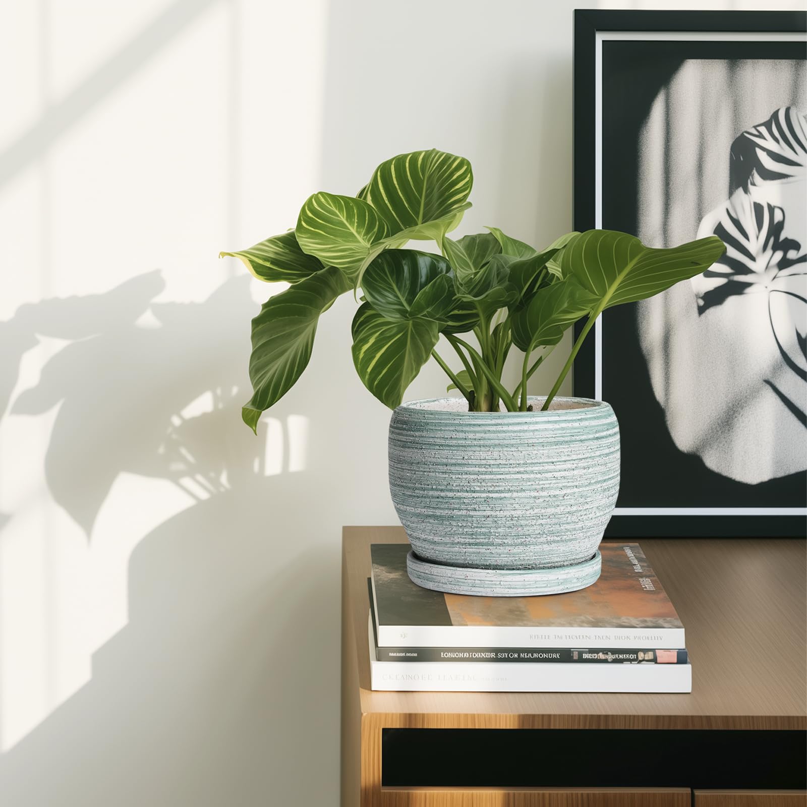 SQOWL maceta en ambiente hogareño como pieza decorativa junto a libros y velas