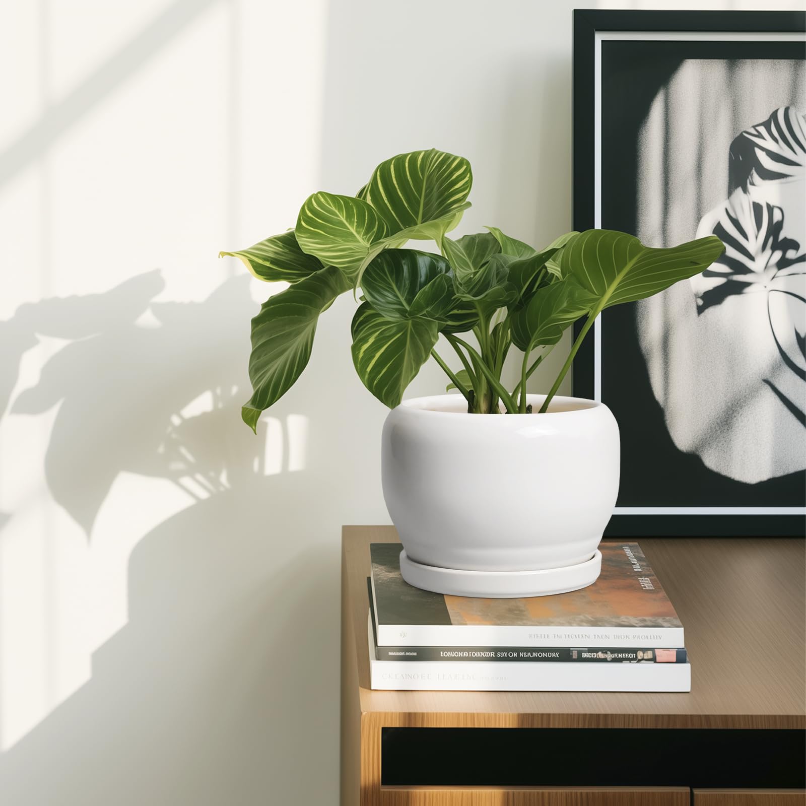 SQOWL maceta en sala decorada, realza plantas y ambiente hogareño