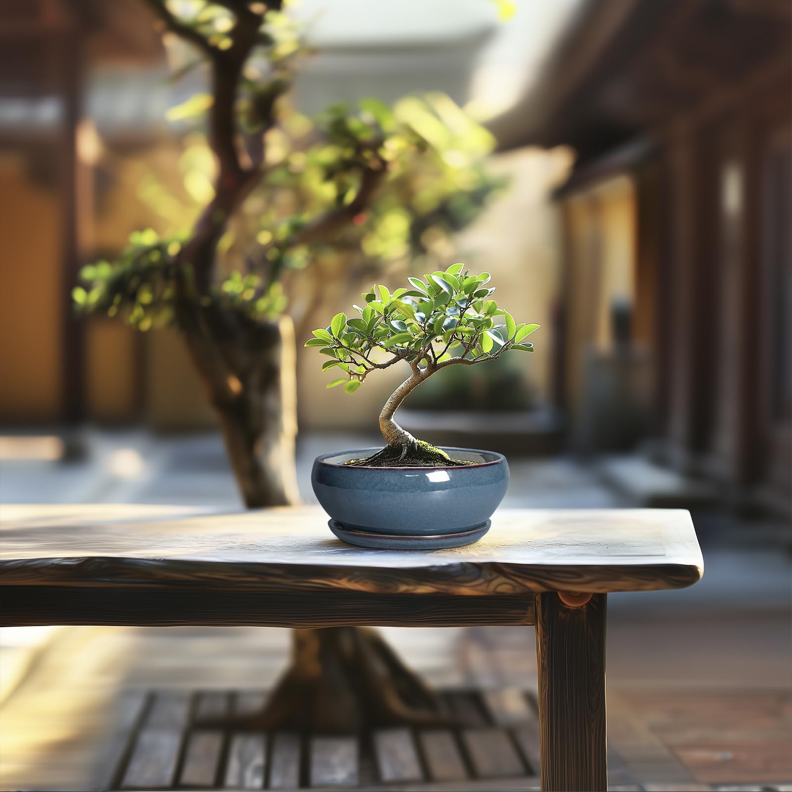 SQOWL maceta azul en terraza decorativa que aporta estilo a espacios exteriores