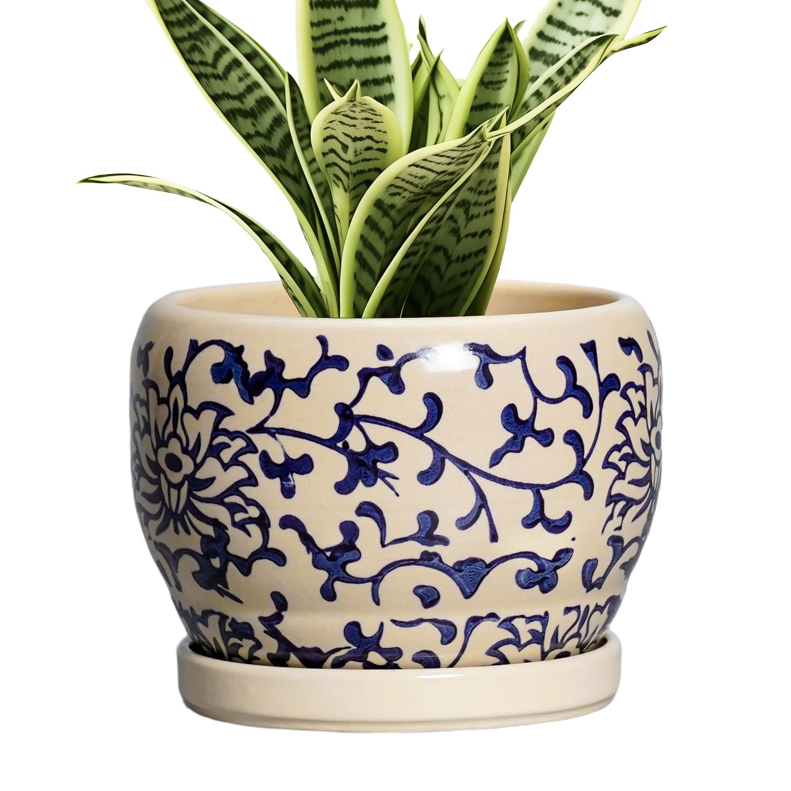 SQOWL maceta frontal azul y beige mostrando diseño decorativo
