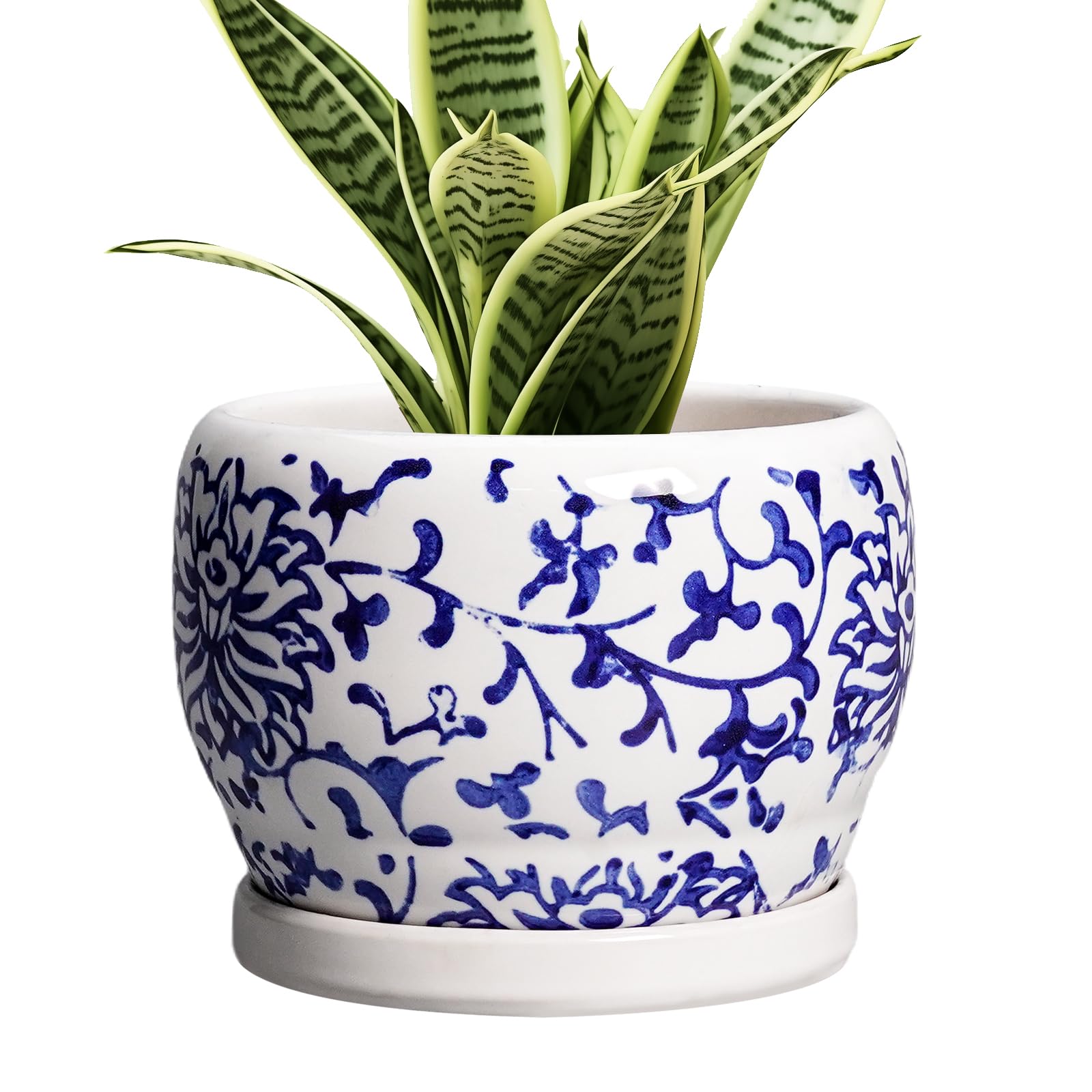 SQOWL maceta frontal azul y blanco mostrando diseño elegante y acabado decorativo