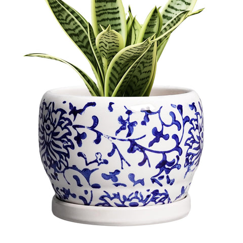SQOWL maceta frontal azul y blanco mostrando diseño elegante y acabado decorativo