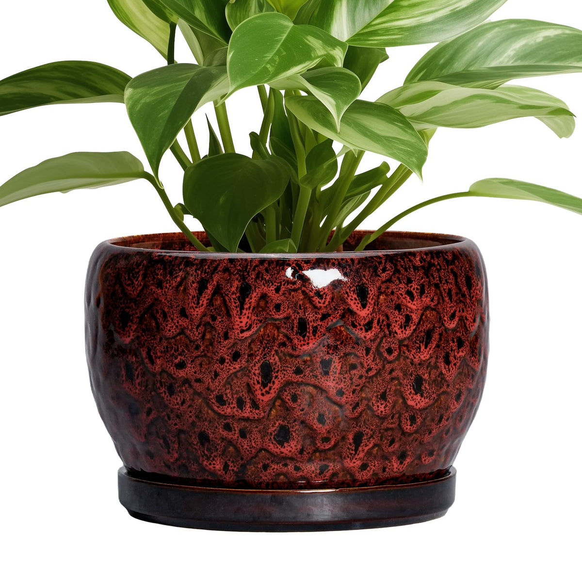SQOWL vista frontal de la maceta roja que realza cualquier planta