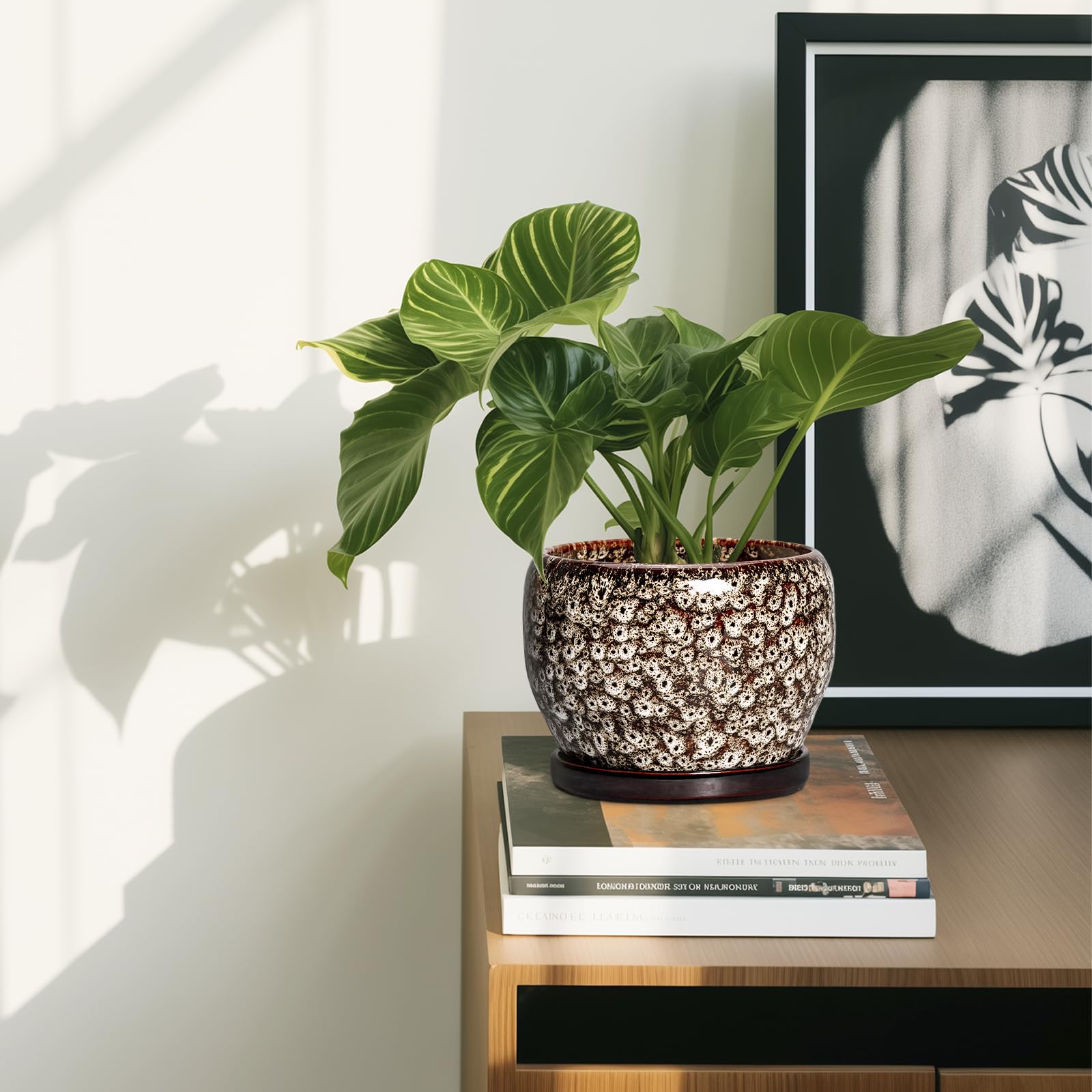SQOWL conjunto en ambiente, estilo decorativo para el hogar