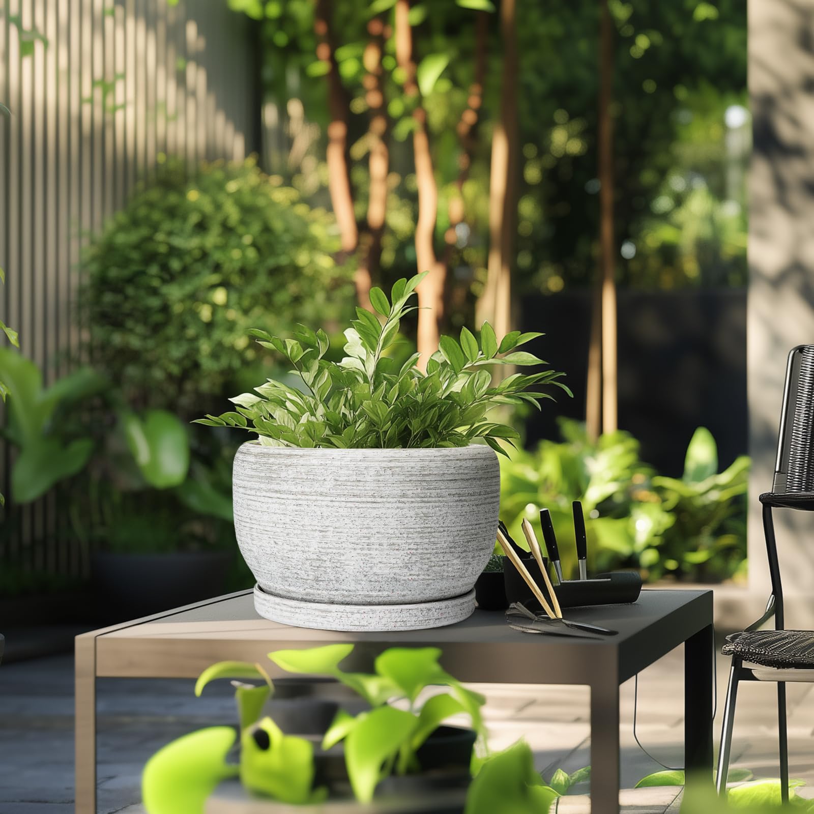 SQOWL macetero con monstera en interior demostrando ambiente decorativo