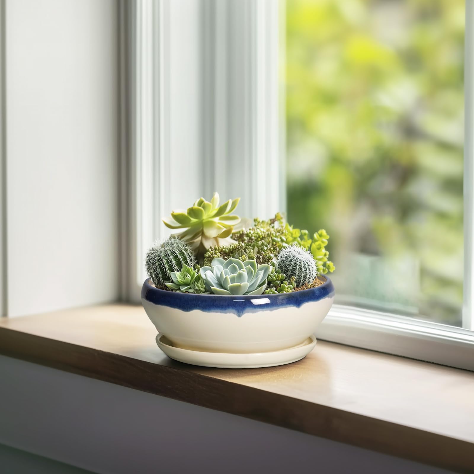 SQOWL plato removible bajo la maceta que recoge agua y previene manchas