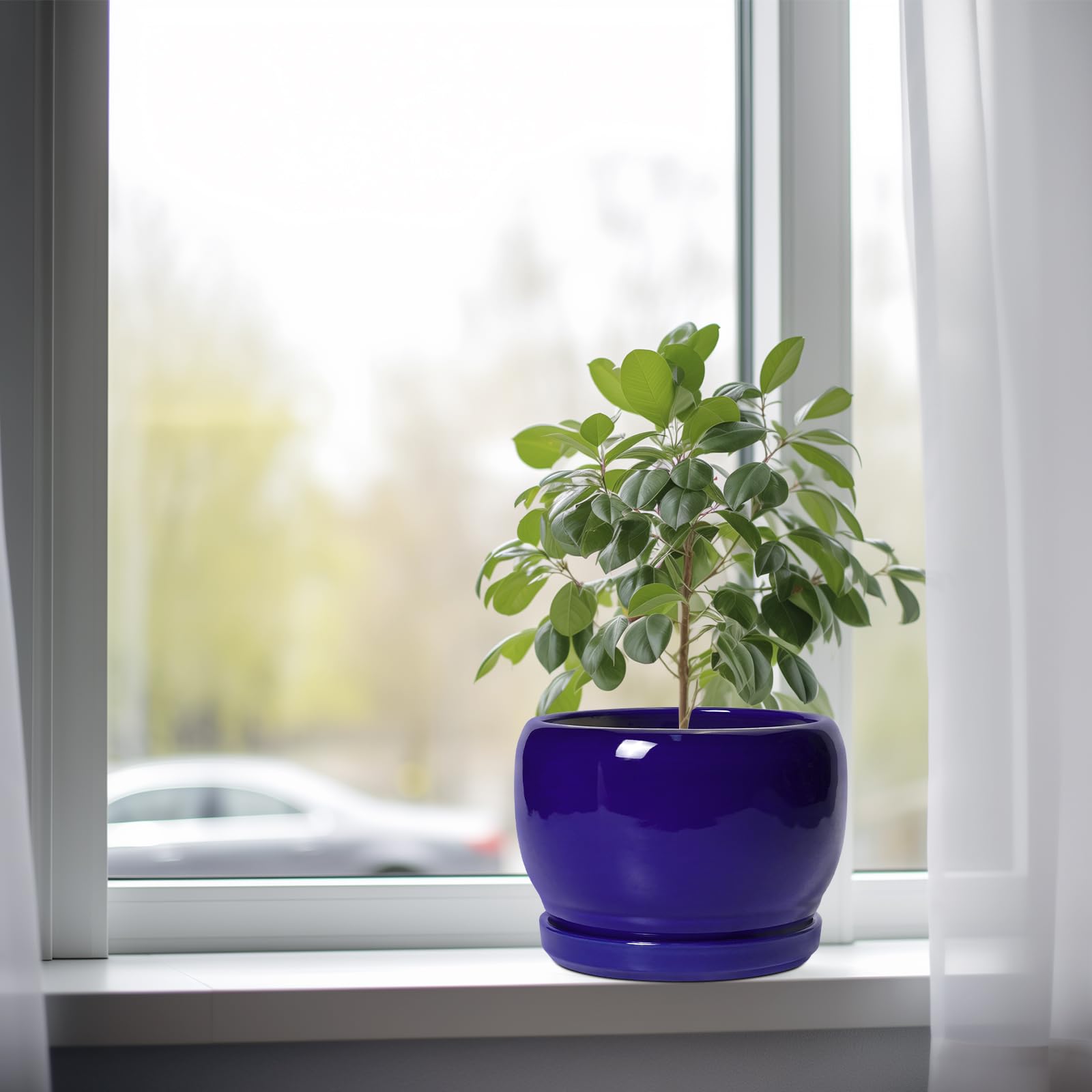 SQOWL vista inferior con orificio de drenaje para mejor salud vegetal
