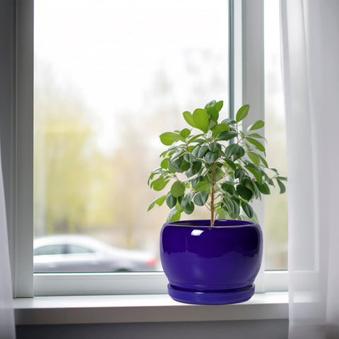 SQOWL vista inferior con orificio de drenaje para mejor salud vegetal