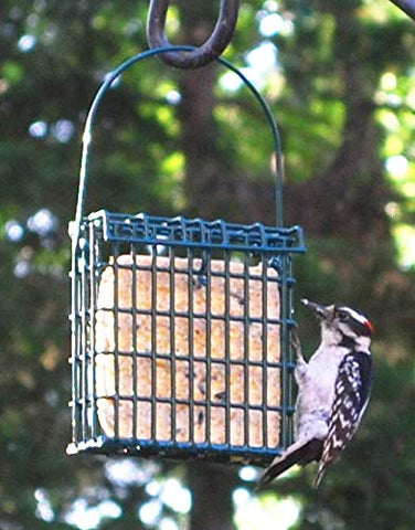 ST. ALBANS BAY SUET PLUS pastel junto a una regla para mostrar tamaño eficaz
