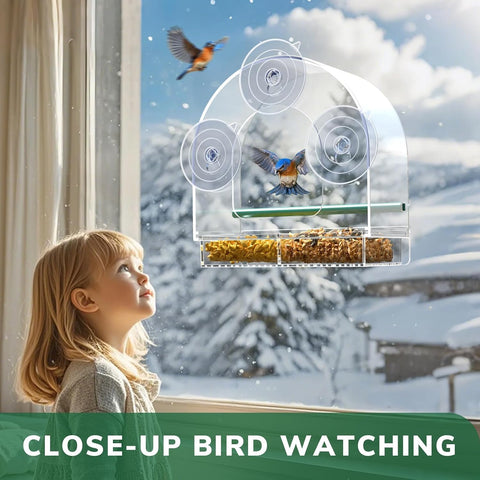 SUNALLY escena doméstica con niños observando aves desde la ventana
