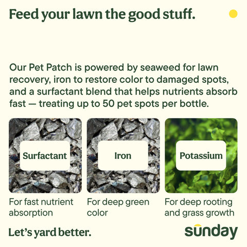 Sunday Pet Patch antes y después de mancha de orina con recuperación visible