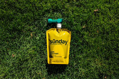 SUNDAY césped más verde tras uso, mejora visible en pocas jornadas