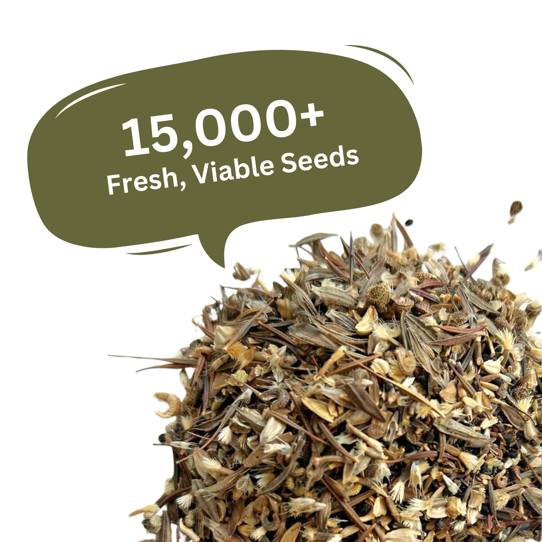 SunHaven Seeds lecho de corte con flores variadas fomentando polinizadores