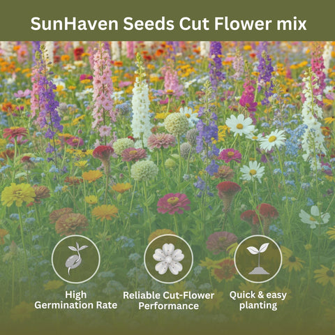 SunHaven Seeds primer plano de textura de semillas para siembra fácil
