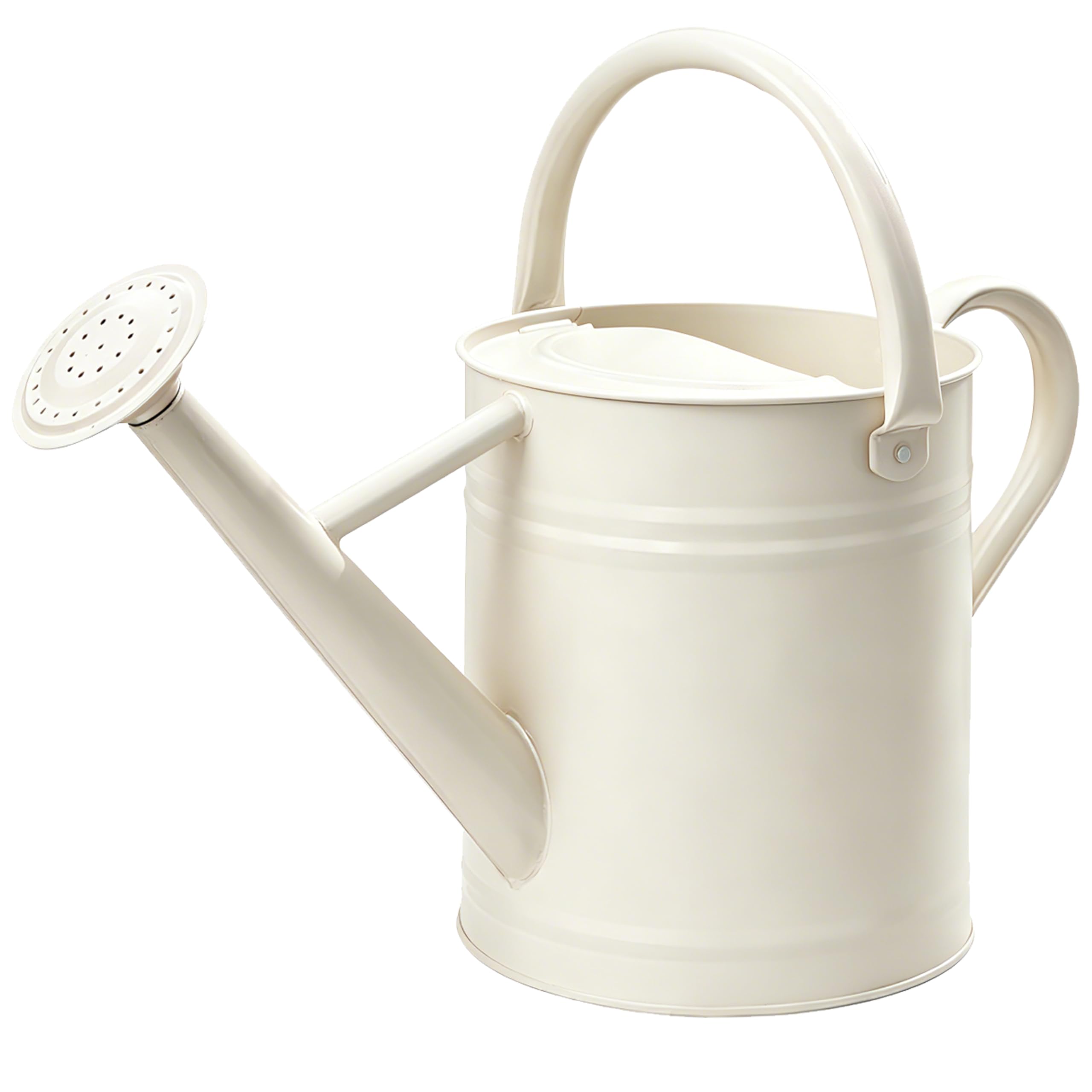 SunnyTong regadera frontal crema blanca mostrando diseño elegante y durabilidad