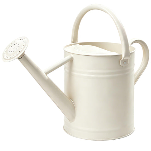 SunnyTong regadera frontal crema blanca mostrando diseño elegante y durabilidad