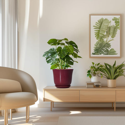 SUNPOTFOR maceta en ambiente hogareño aportando estilo decorativo