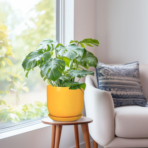 SUNPOTFOR maceta en salón y balcón añadiendo color y decoración práctica