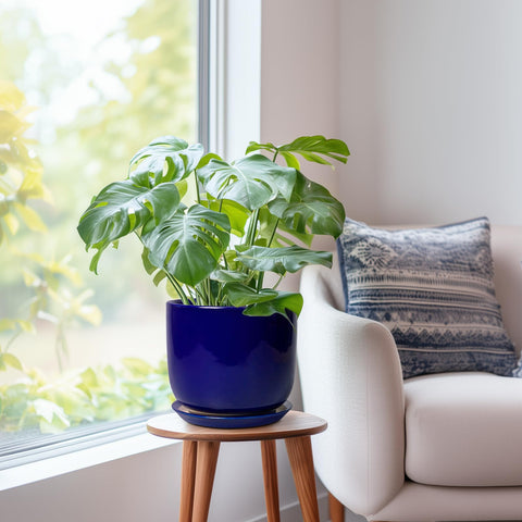 SUNPOTFOR maceta integrada en salón mostrando estilo y ambiente acogedor