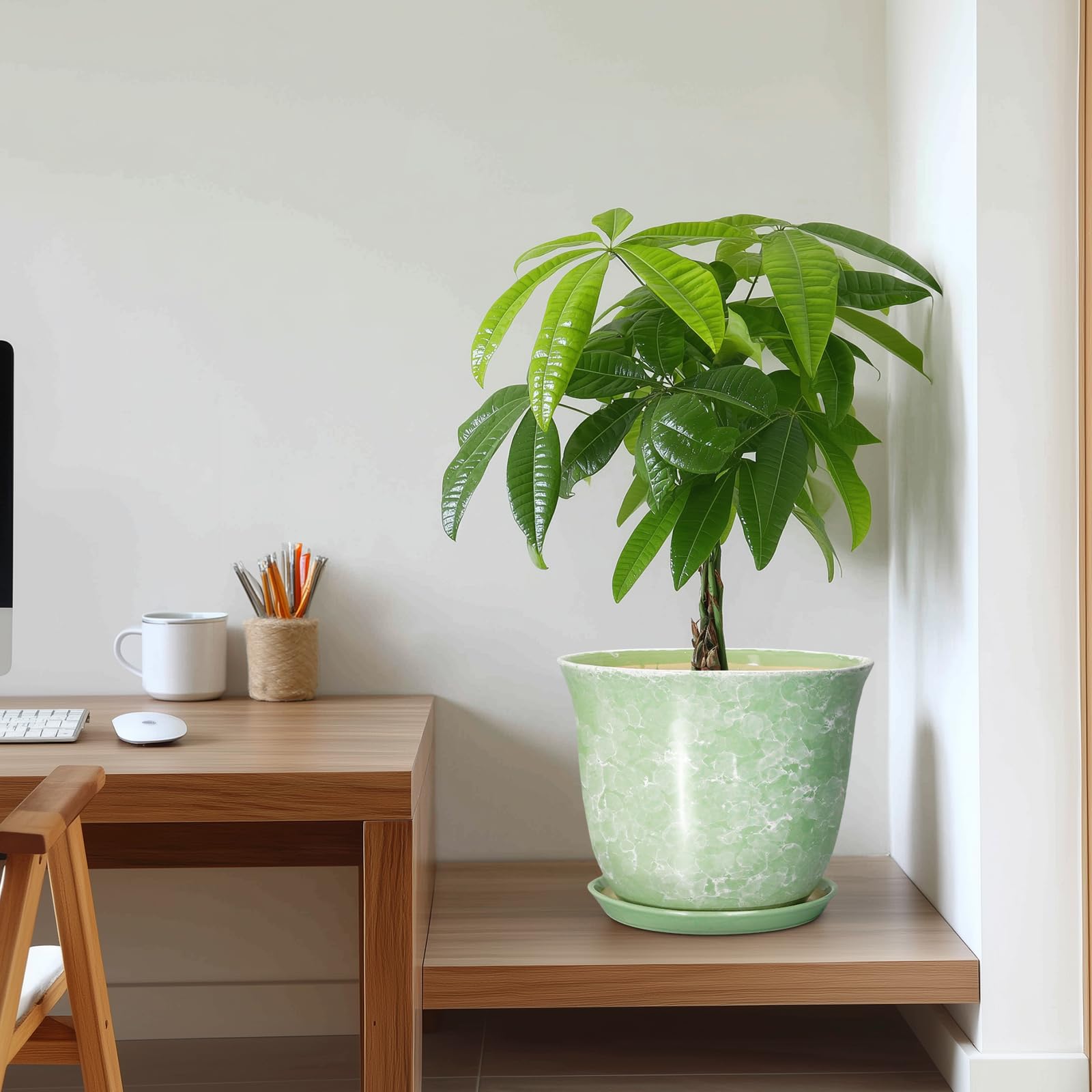 SUNPOTFOR maceta sobre mesa decorativa que aporta estilo y funcionalidad