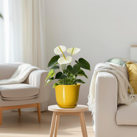 SUNPOTFOR en patio, resistente y elegante en ambientes exteriores