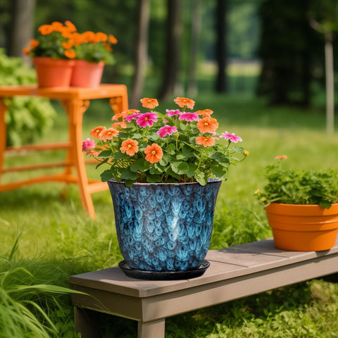 SUNPOTFOR comparación de tamaño con mano para visualizar escala y elegir planta
