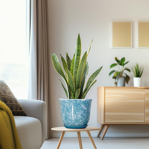 SUNPOTFOR tamaño en mano para comparar escala y practicidad