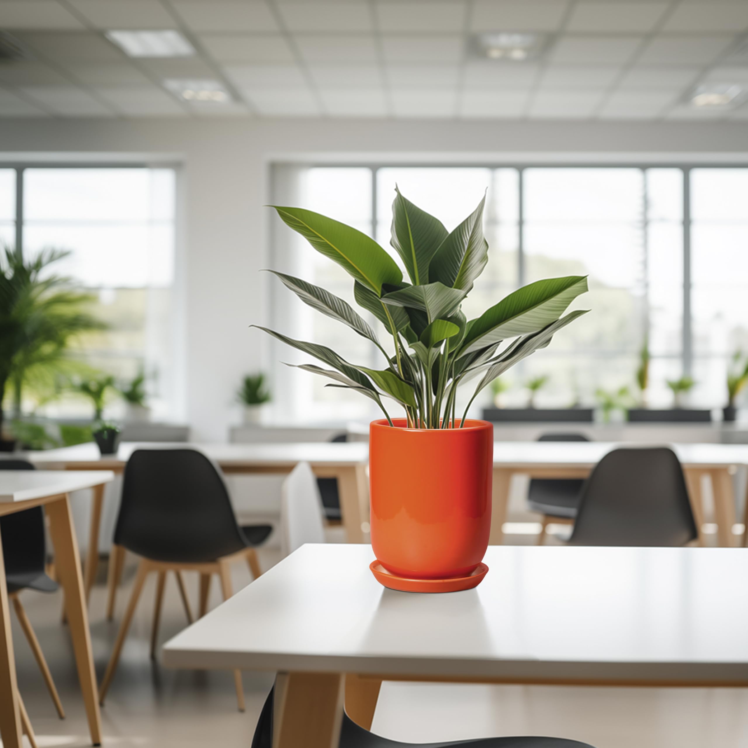 SUNPOTFOR comparación de tamaño mostrando capacidad para plantas medianas