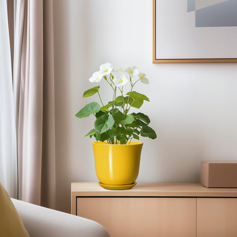 SUNPOTFOR con suculenta plantada, optimiza espacio en interiores