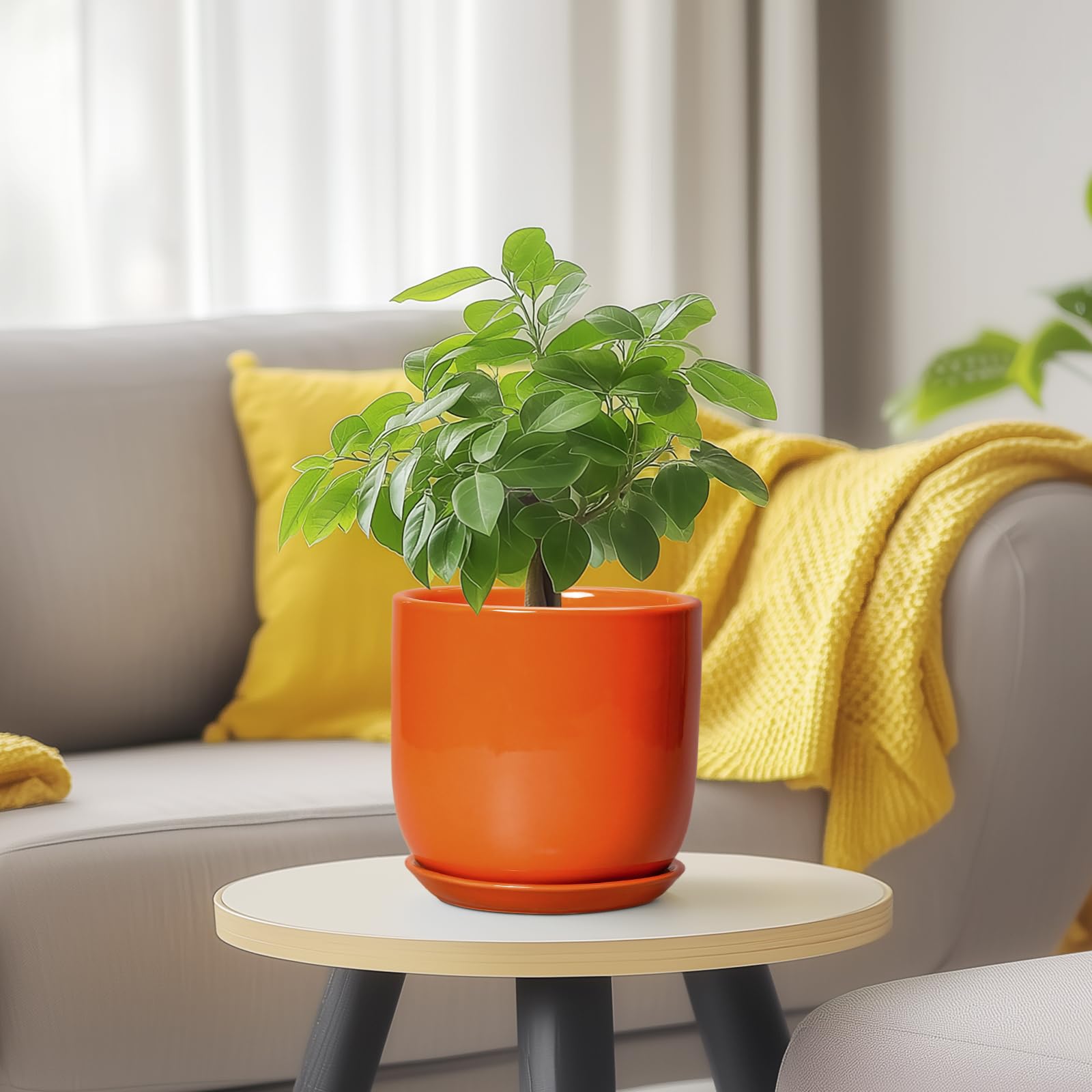 SUNPOTFOR conjunto envuelto como regalo ideal para amantes de las plantas