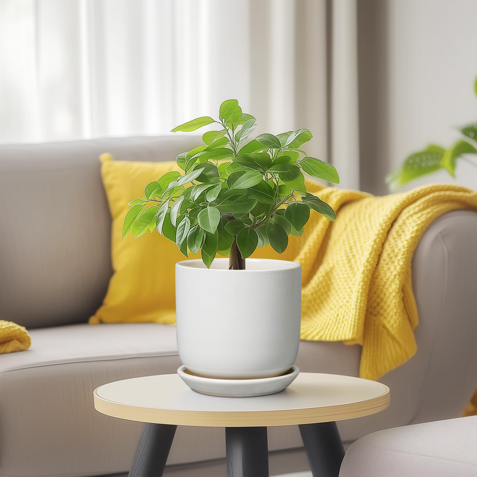 SUNPOTFOR maceta en sala moderna integrando decoración y función