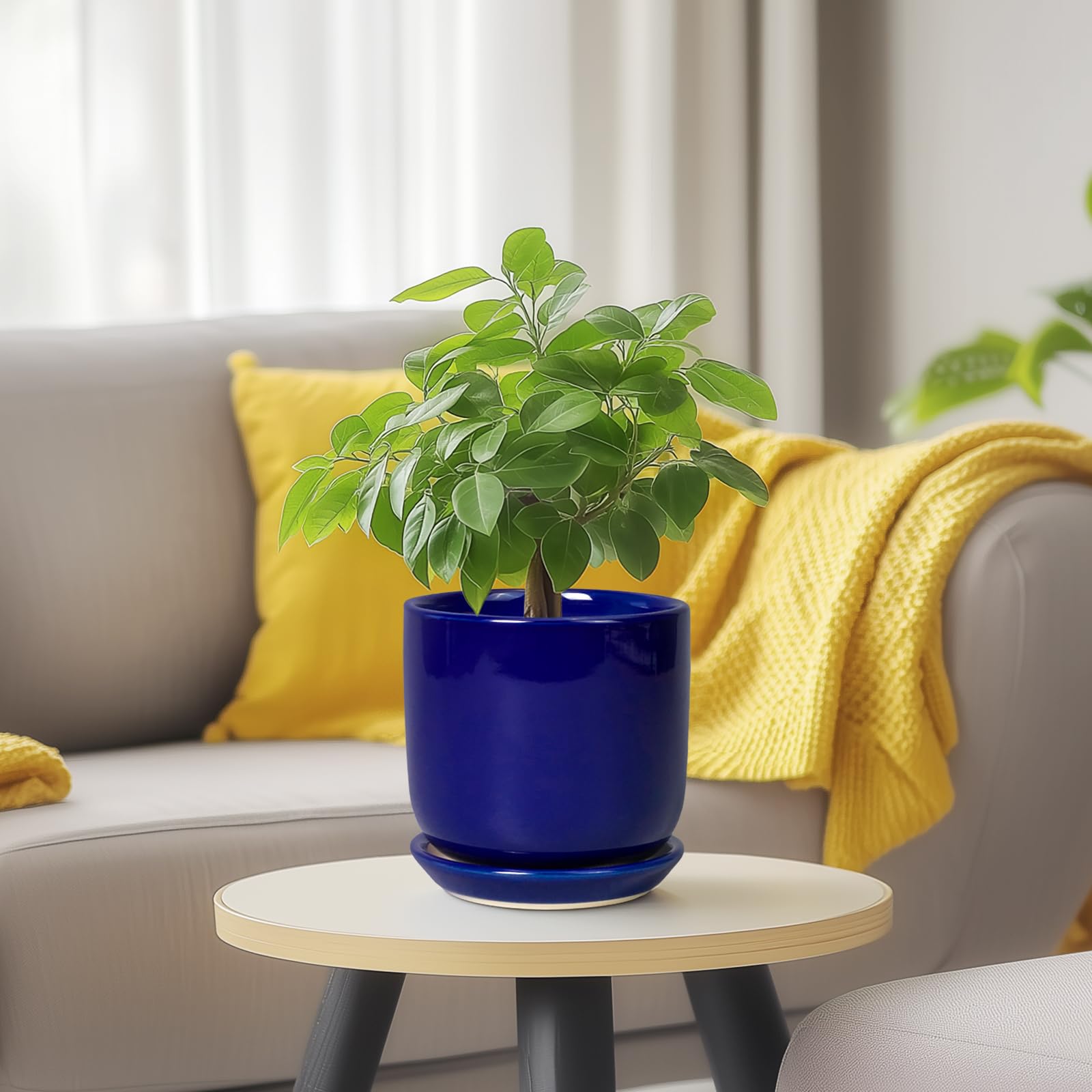 SUNPOTFOR empaque listo para regalo ideal para aficionados a las plantas