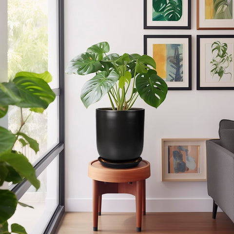 SUNPOTFOR maceta en uso con monstera realzando decoración interior