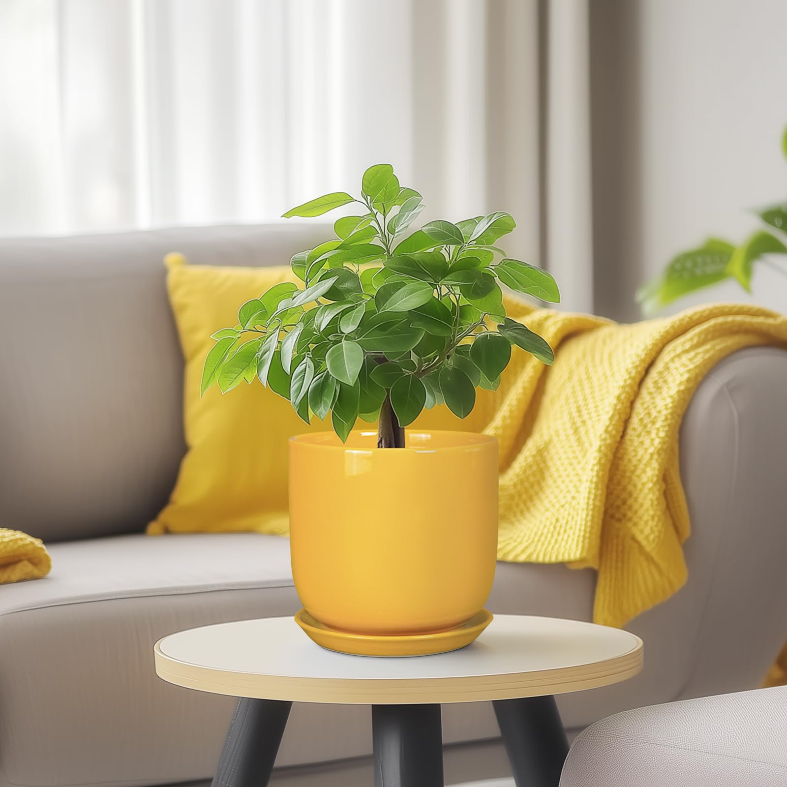 SUNPOTFOR maceta empaquetada lista para regalo ideal para celebraciones