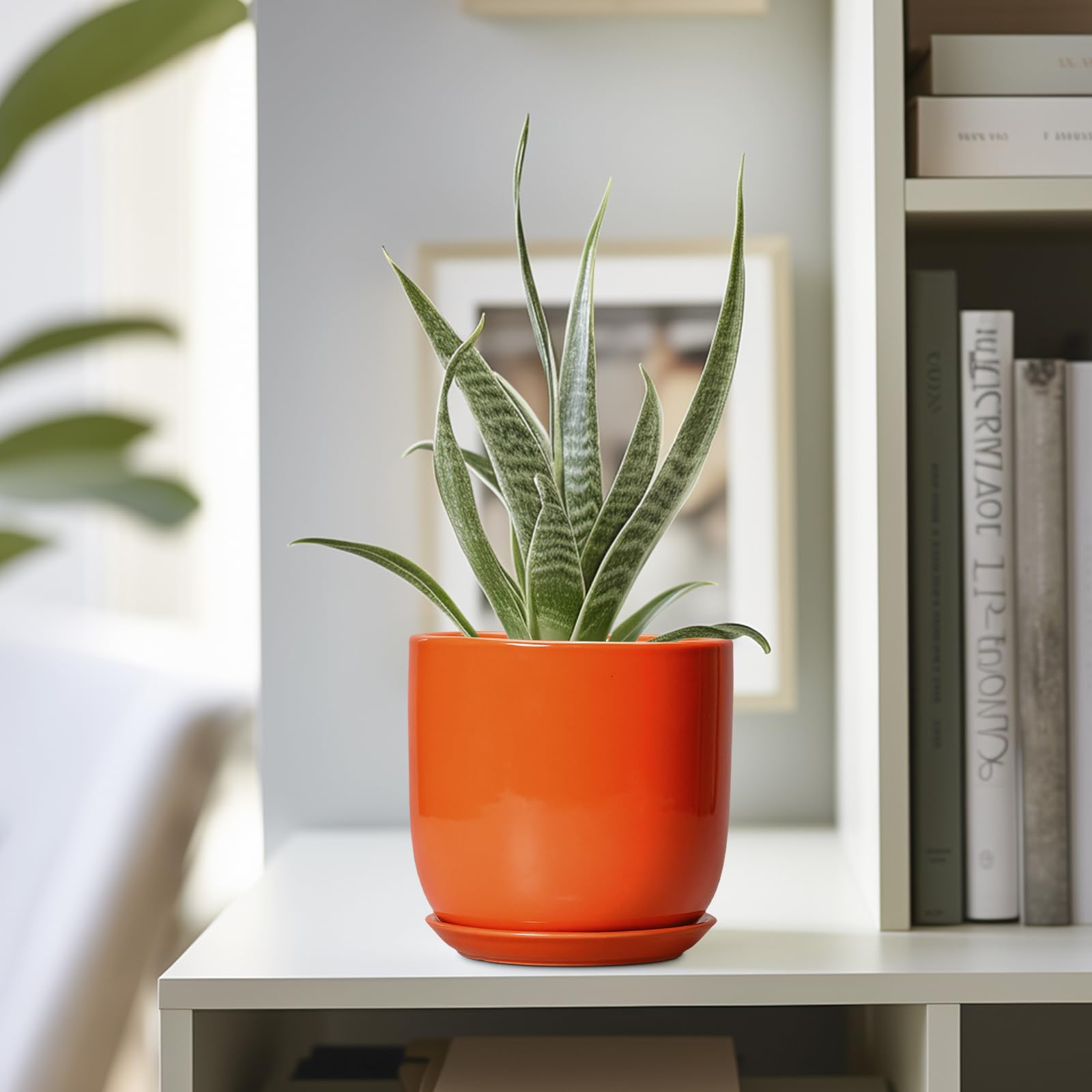 SUNPOTFOR maceta en manos para comparar tamaño y facilidad de manejo