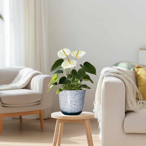 SUNPOTFOR maceta integrada en salón como elemento decorativo moderno