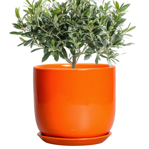 SUNPOTFOR maceta frontal naranja mostrando diseño moderno y acabado duradero
