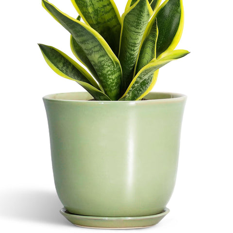SUNPOTFOR vista frontal de la maceta mostrando diseño y acabado, aporta elegancia