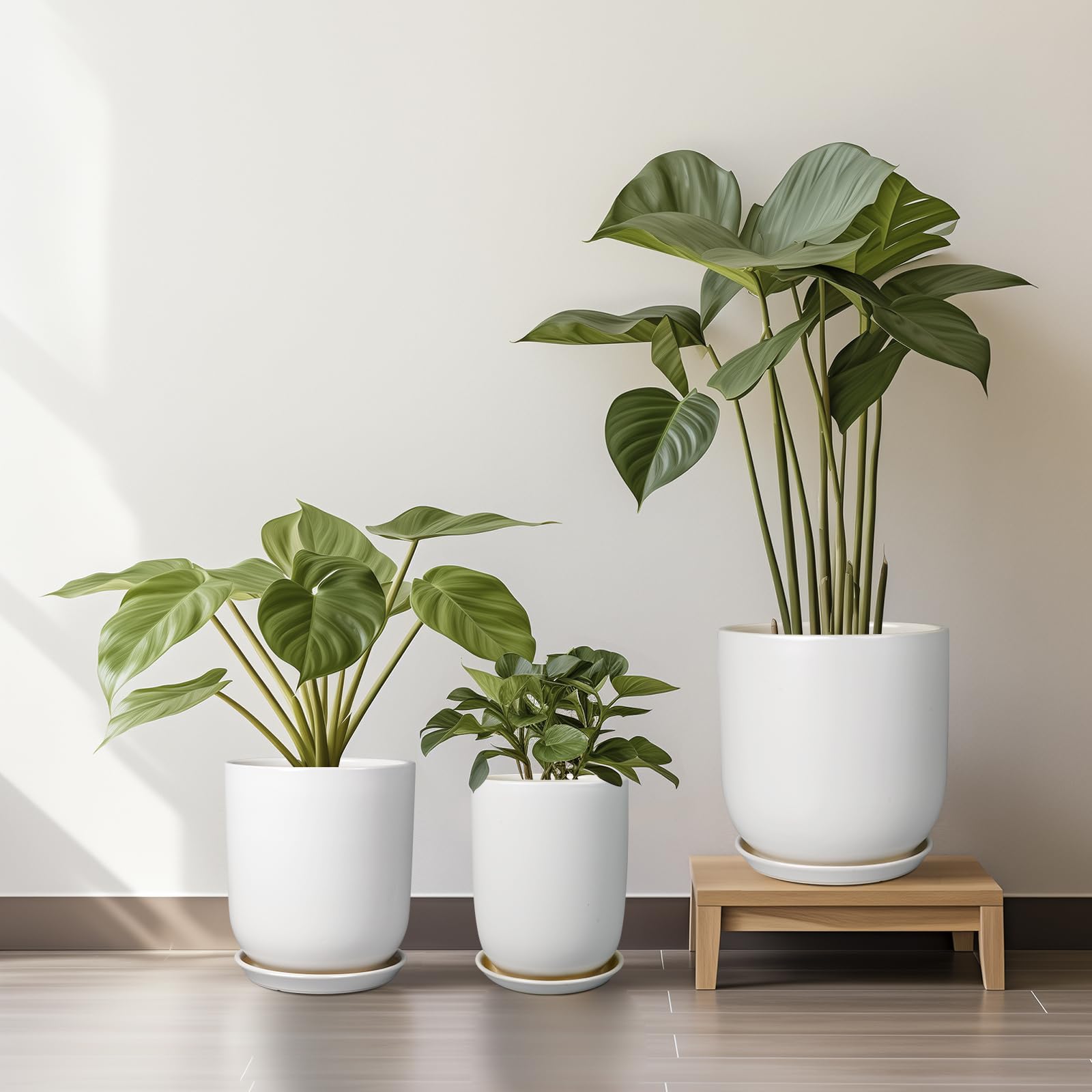 SUNPOTFOR maceta en sala aporta estilo mid‑century y orden
